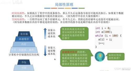 操作系统的内存管理与自然生态系统保护管理的跨学科类比