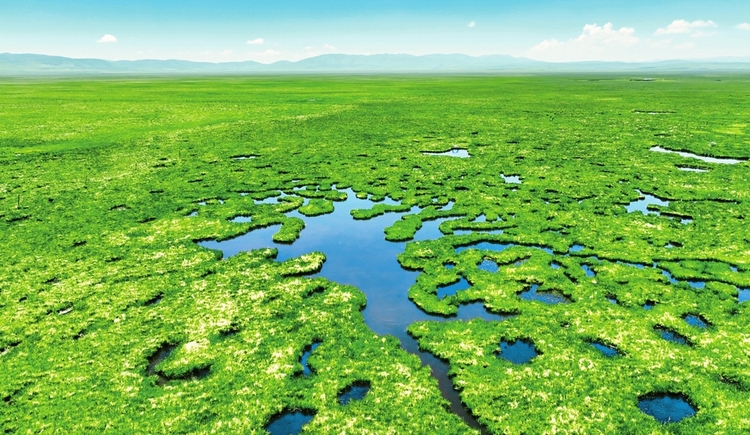 四川湿地盘点 建立各级湿地类型自然保护区32个 国际在线 自然生态系统保护管理