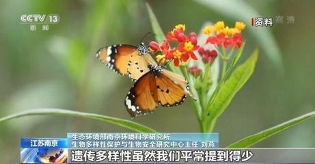 地球自然生态平衡的保障 保护生物多样性究竟有多重要？